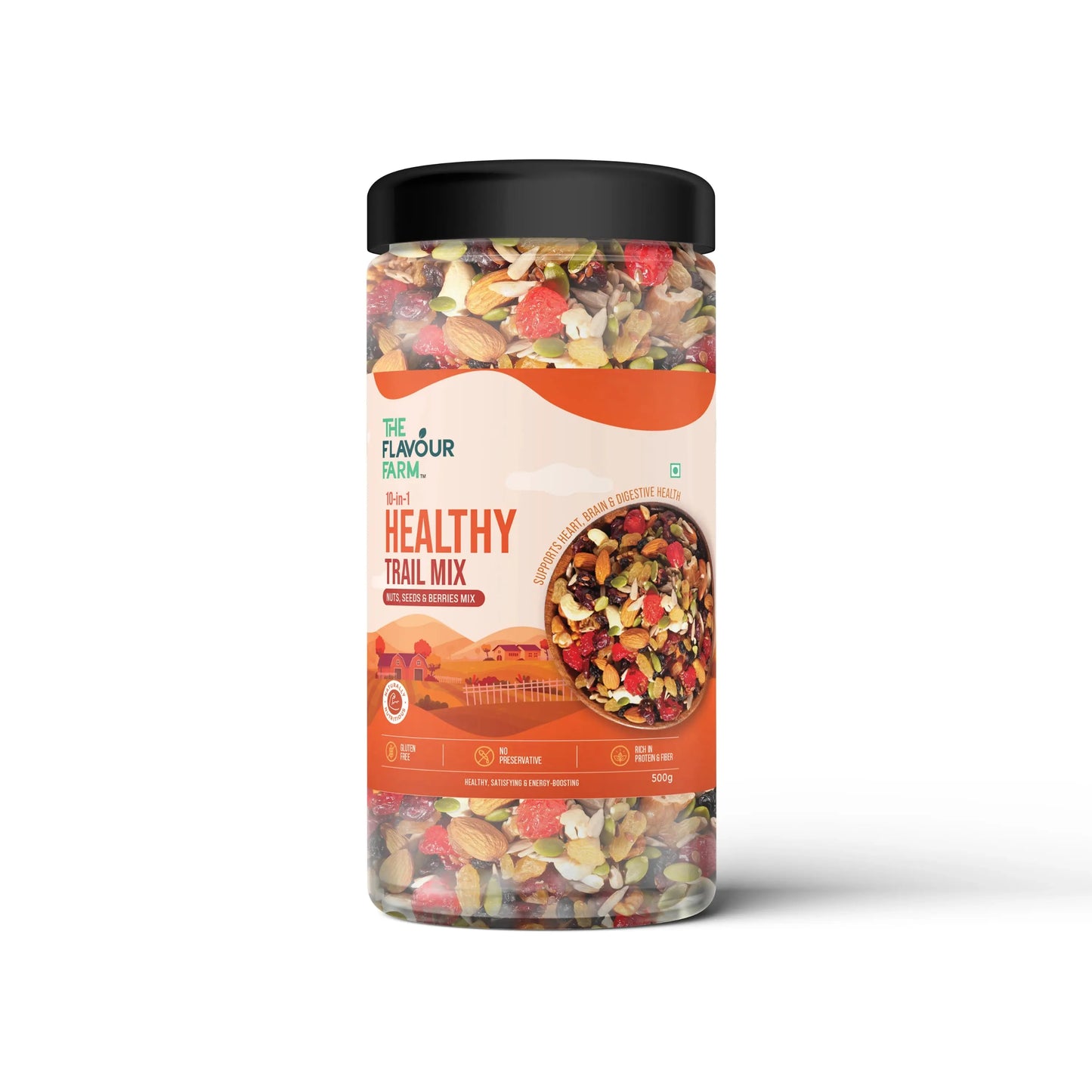 10-in-1 Healthy Mix (Trail Mix) – 500g Jar Product vendor